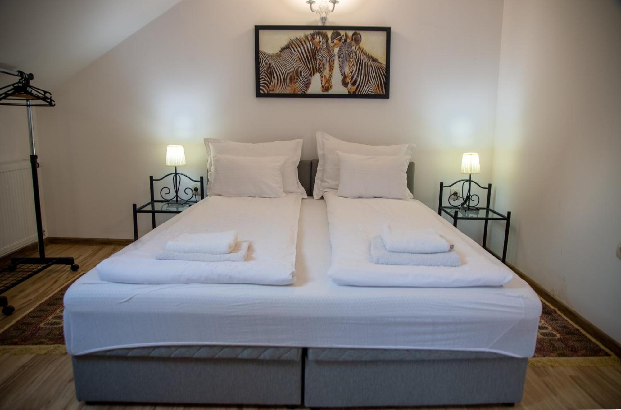 Apartman Centar 스렘스키카를로브치 외부 사진